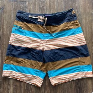 Patagonia Striped Men's Swim Shorts